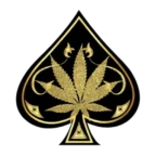 ace ultra premium logo, ace ultra premium hq, ace ultra premium reviews, buy ace ultra premium, ace ultra premium features, ace ultra premium specifications, ace ultra premium price, where to buy ace ultra premium, ace ultra premium benefits, ace ultra premium vs competitors, is ace ultra premium worth it, ace dual gen 2 vape, ace dual gen 2, ace dual gen 2 disposable, buy ace dual gen 2, ace dual gen 2 flavors, ace dual gen 2 price, ace dual gen 2 review, ace dual gen 2 specs, ace dual gen 2 wholesale, ace mini gen 4 vape, ace mini gen 4 disposable, ace mini gen 4 flavors, ace mini gen 4 price, buy ace mini gen 4, ace mini gen 4 review, ace mini gen 4 features, ace mini gen 4, buy ace vapes online, ace vape wholesale, ace ultra extracts, where to buy ace dual gen 2 near me, ace mini gen 4 flavor reviews, ace ultra premium vs competitors